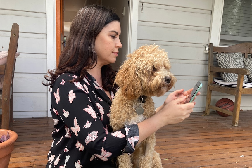 A woman nurses her groodle dog and looks at her phone 