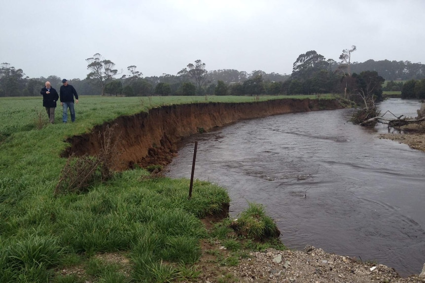 Inspecting the damage: erosion cuts into the banks of the Inglis River, Wynyard, NW Tasmania.