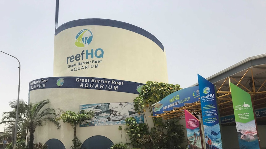 The cylindrical structure of Reef HQ is surrounded by palms, tropical vegetation and aquarium branding