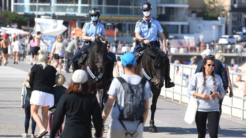 Police officers on horseback