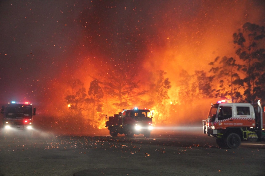 Fire burns in bushland