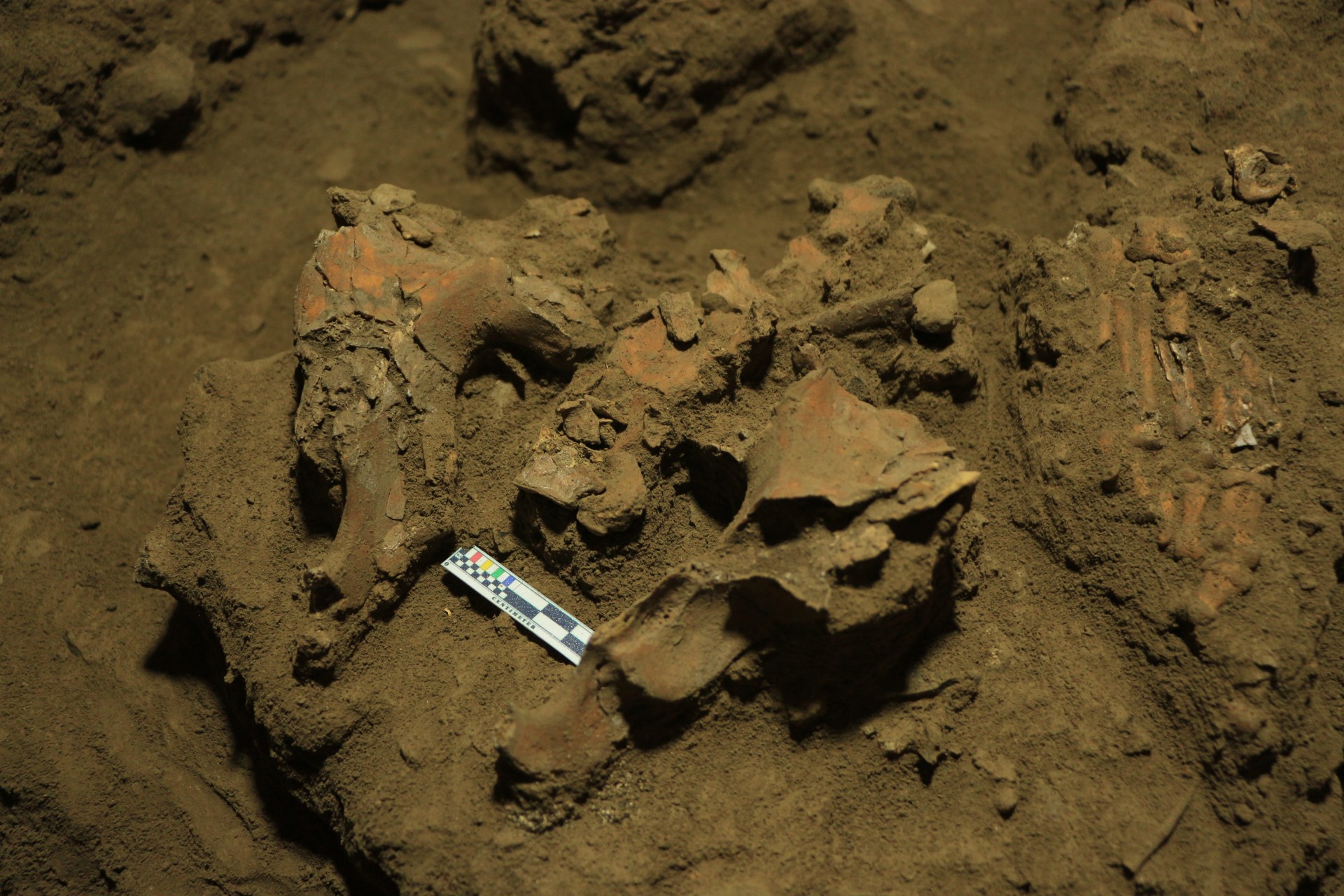 Bones and rocks at the bottom of a pit