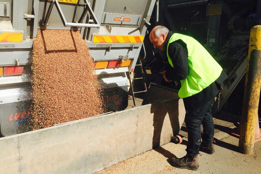Pulses being unloaded from a truck