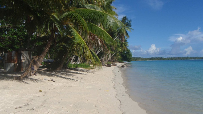 Shoreline on the island of Jeh, part of the Pacific nation of Marshall Islands. There is blue water and green tropical trees.