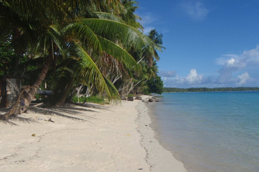 Shoreline on the island of Jeh, part of the Pacific nation of Marshall Islands. There is blue water and green tropical trees.