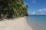 Shoreline on the island of Jeh, part of the Pacific nation of Marshall Islands. There is blue water and green tropical trees.