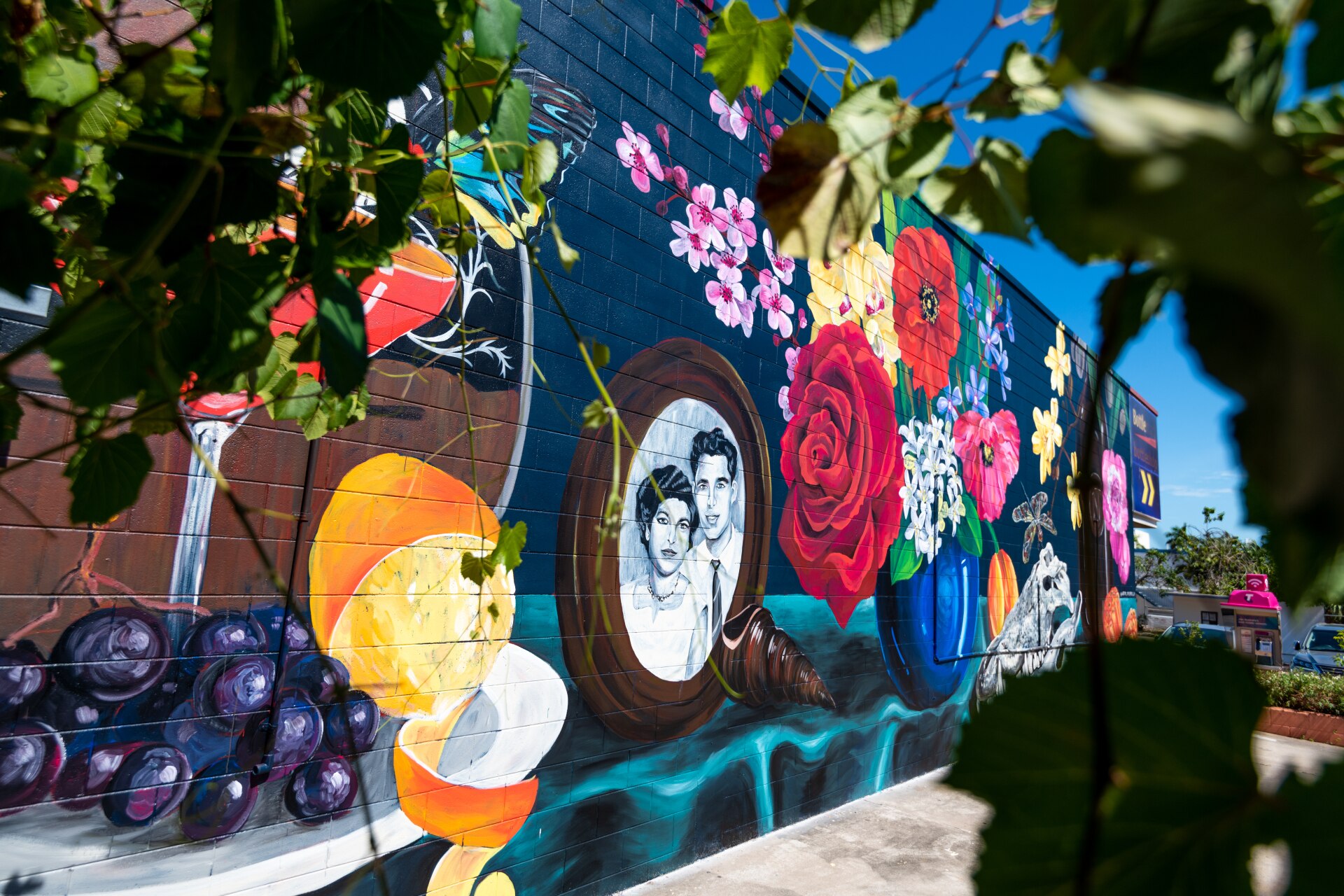 Darwin Street Art Festival expands to suburbs, Katherine, Tennant Creek