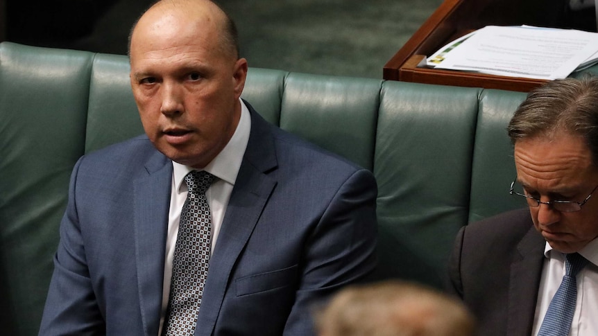 Peter Dutton sitting in the House of Representatives glancing at the Speaker's chair