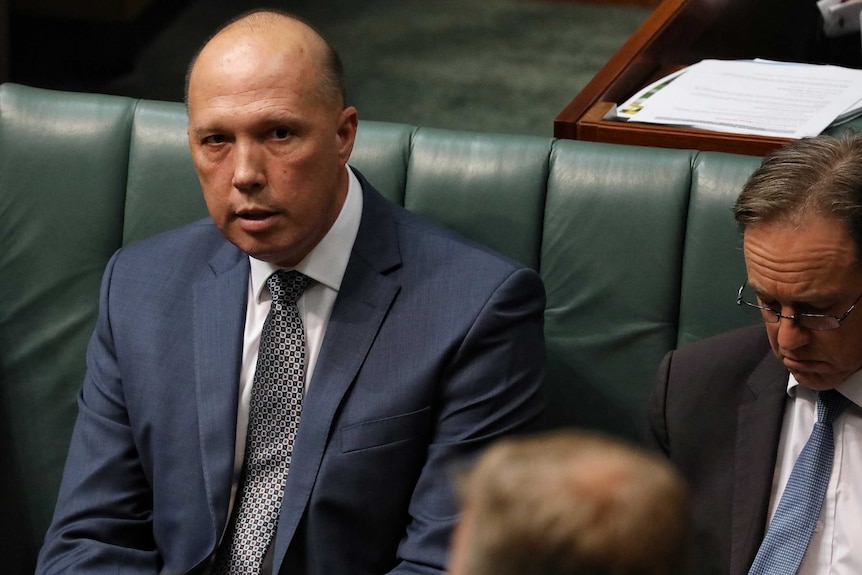 Peter Dutton sitting in the House of Representatives glancing at the Speaker's chair