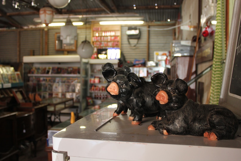 Small black Berkshire pig figurines sit on top of a fridge in front of a store with comics and collectibles.