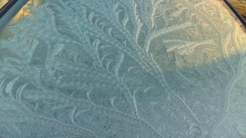 Frost patterns on the windscreen of a car.
