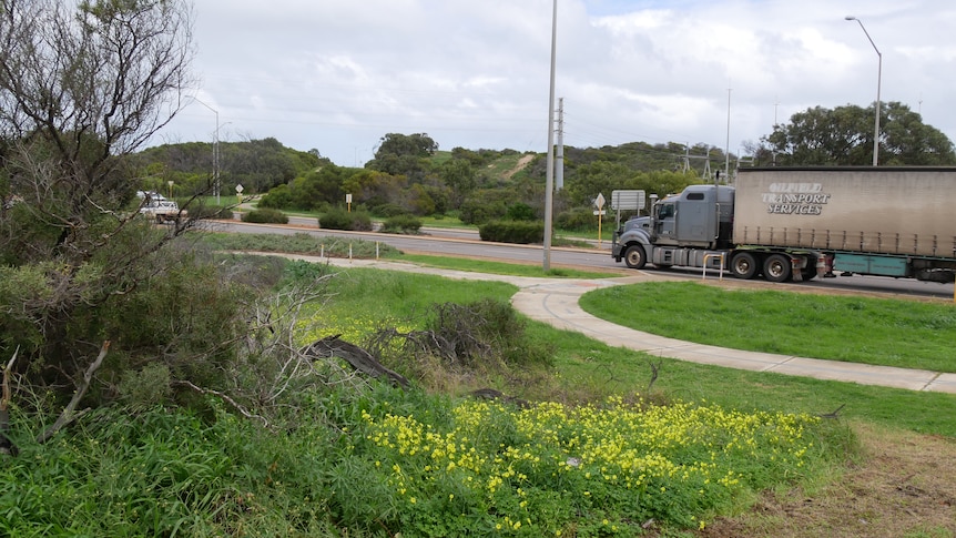 Bushes in foreground with truck on highway behind