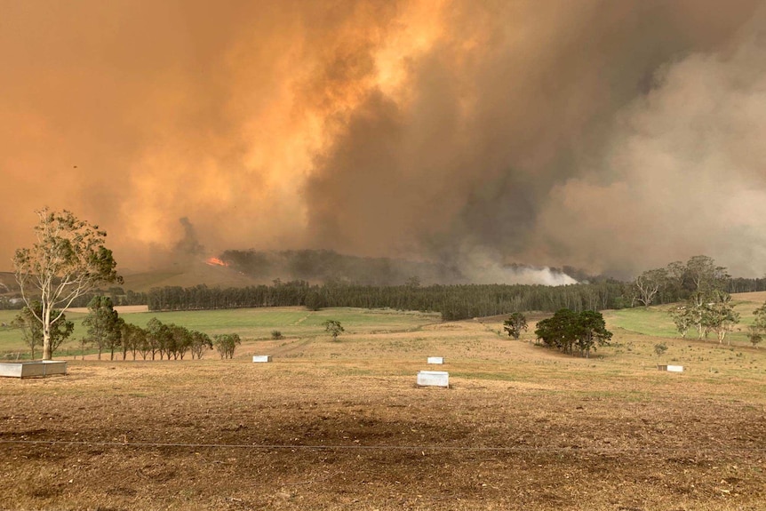 A bushfire rages just beyond farmland with smoke filling the sky