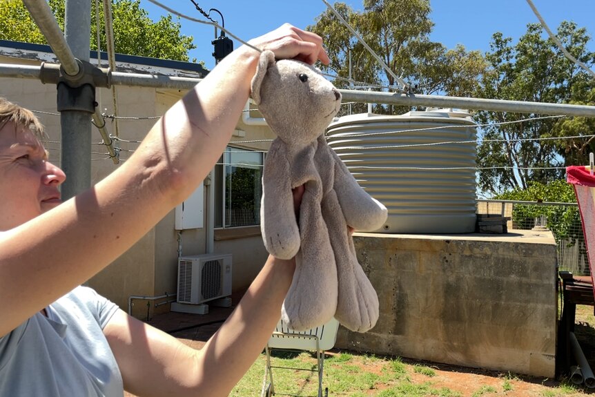 A white woman with short grey hair, Tash Chabrel, unpegs a teddy from a hills hoist in her backyard.