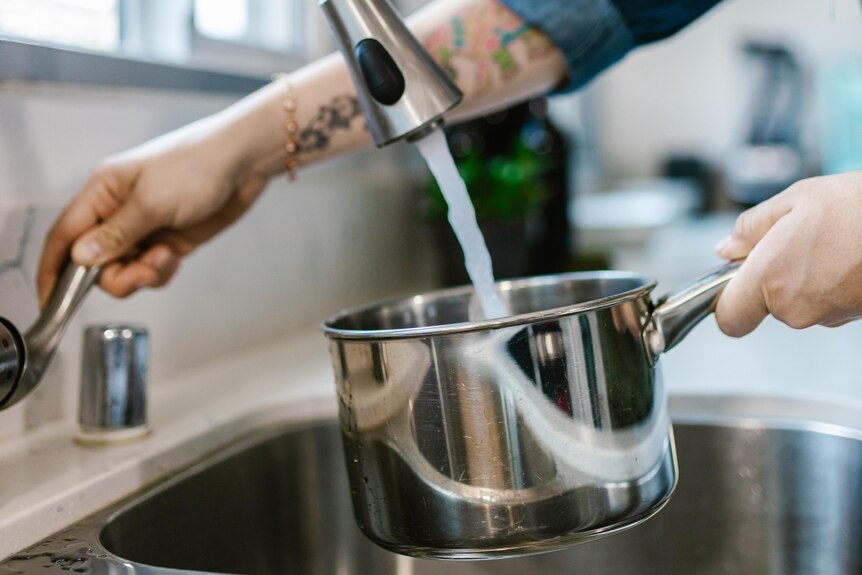 A person with tattoos fills up a pot with water at the sink.