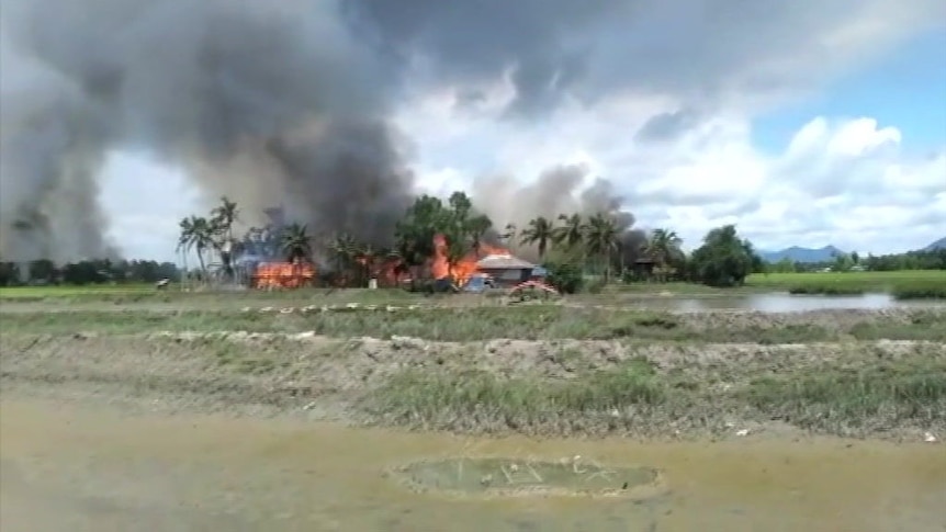 Footage shows bodies and burning in Myanmar's 'ethnic cleansing' of Rohingya Muslims