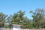 Floodwaters swamp Patrick Street in Dalby on Monday.