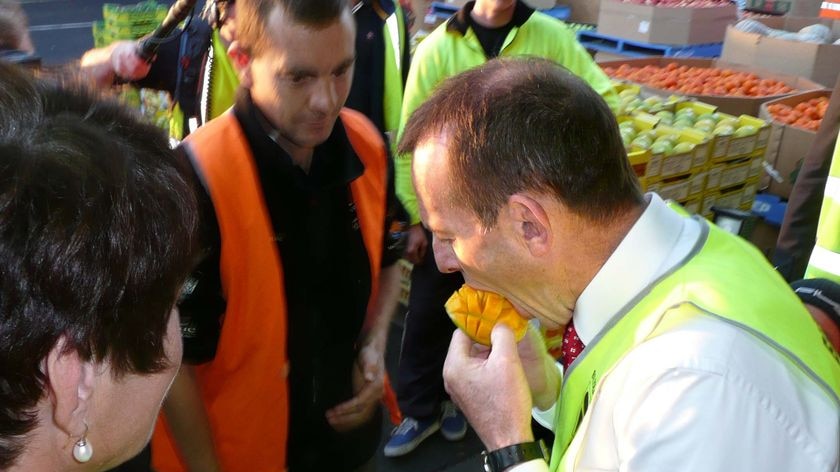 Tony Abbott eats a mango at the Brisbane Markets at Rocklea