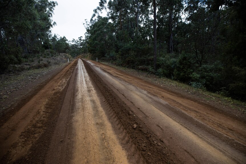 A gravel road running through bush
