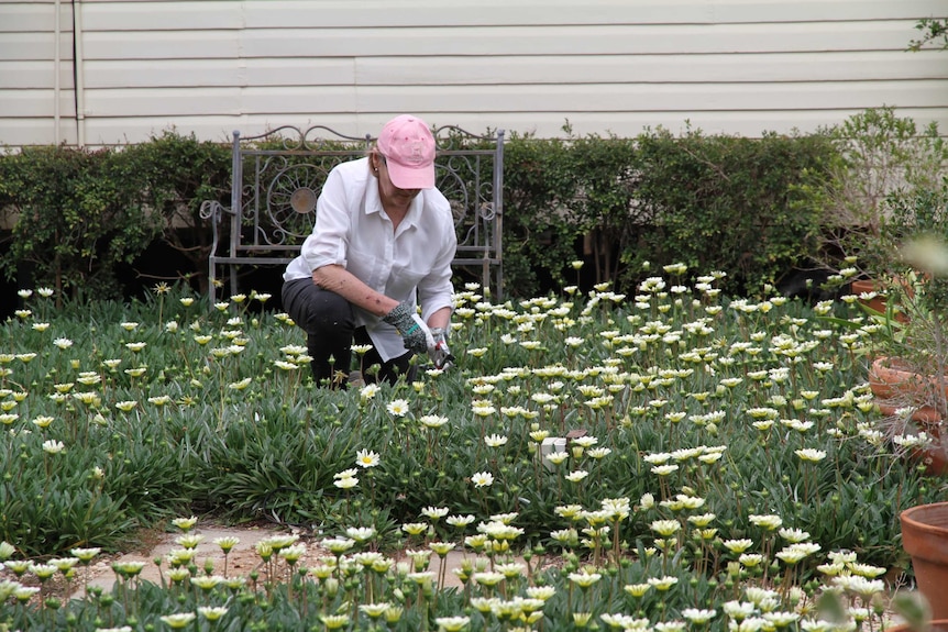 Lindy Hardie in the garden at Dumfries