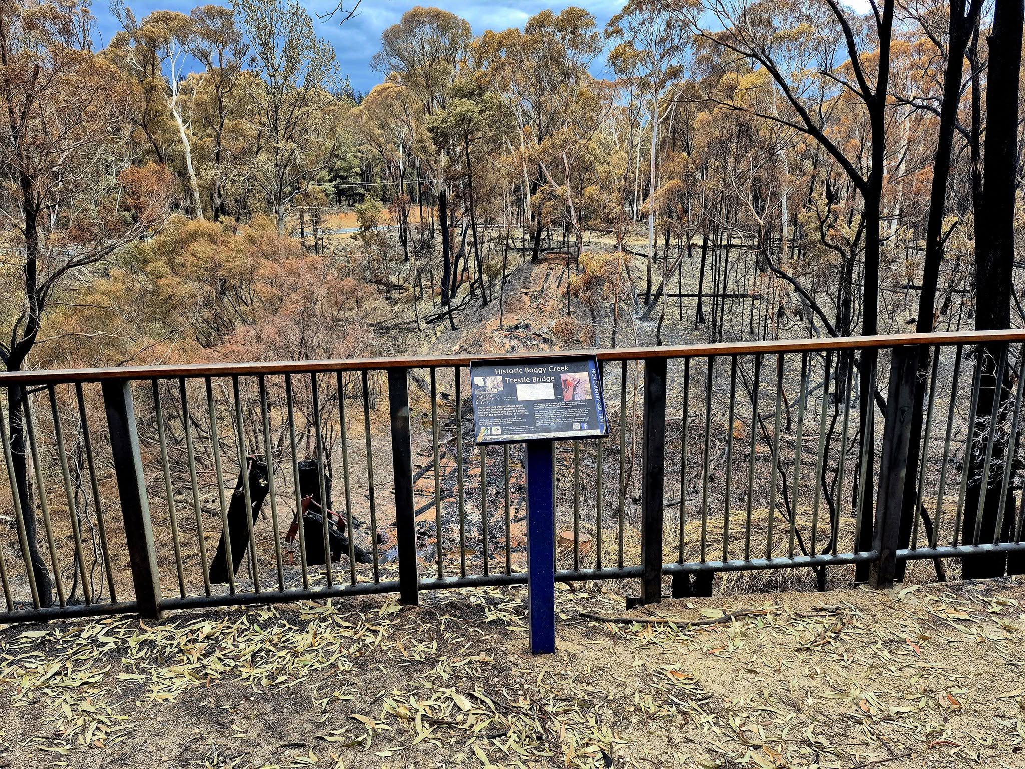 Un cartel informativo con árboles quemados al fondo.