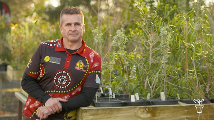 Indigenous man wearing dot painting shirt, leaning on planter box in nursery