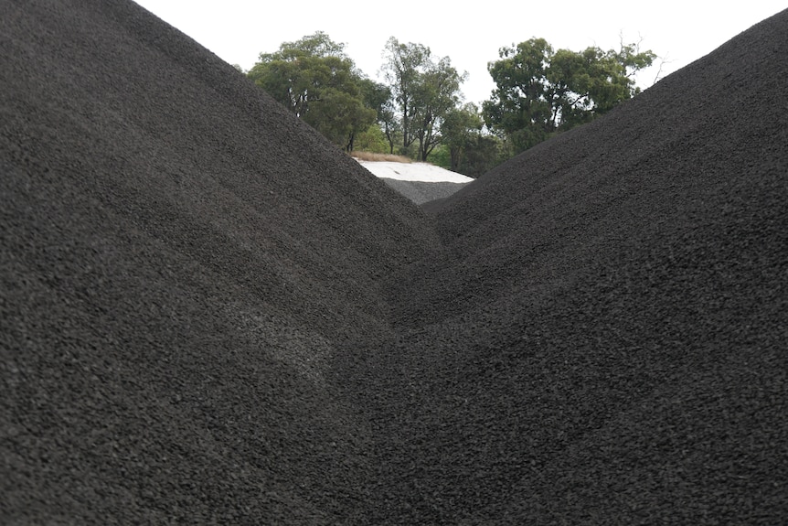 Black coal in a big pile