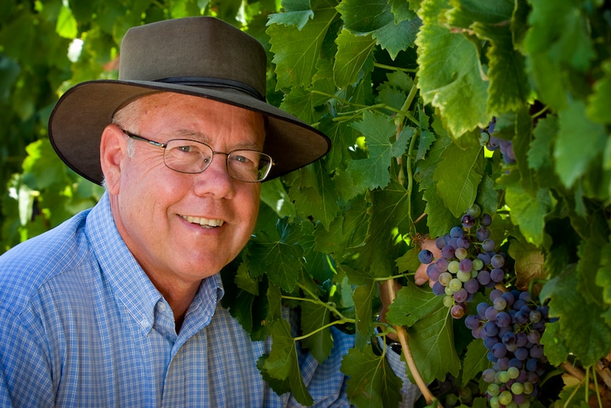A man standing next to a grape vine