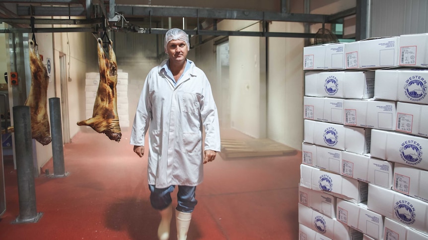 A man walks through a meatworks surrounded by boxed goat meat and hanging carcases