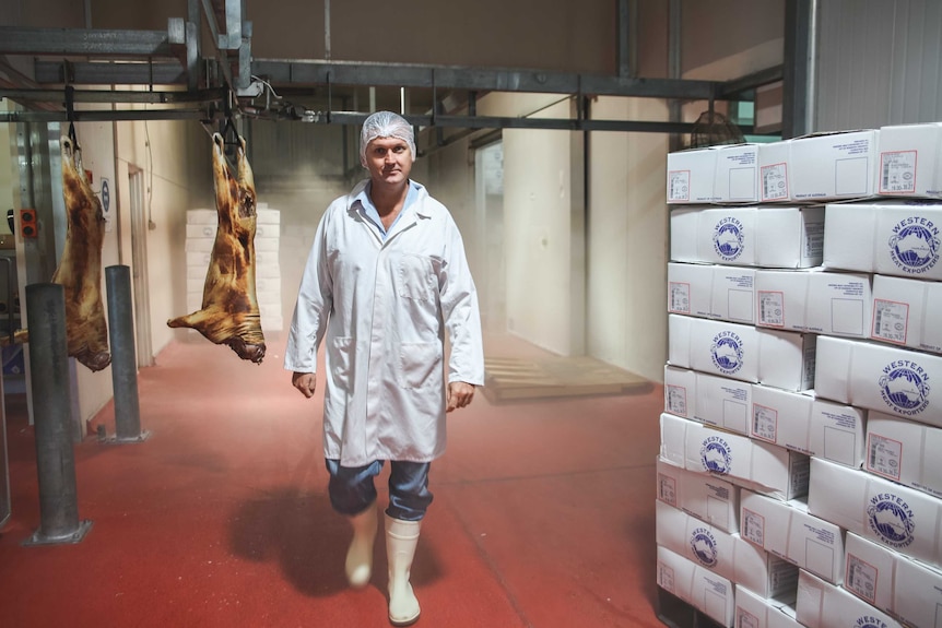 A man walks through a meatworks surrounded by boxed goat meat and hanging carcases