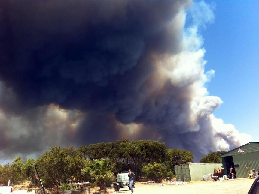 Smoke billows from the bushfire at Port Lincoln.