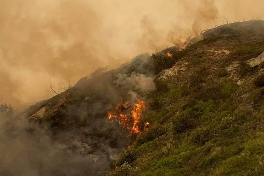 A grassy hill is seen partly on fire with smoke rising above into an hazy orange sky.