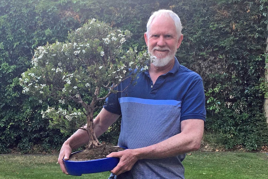 Will Fletcher with a tea tree bonsai