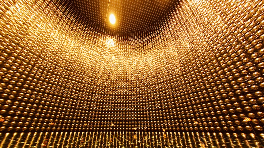 A large empty tank lined with thousands of golden oversized lightbulbs is seen from below.