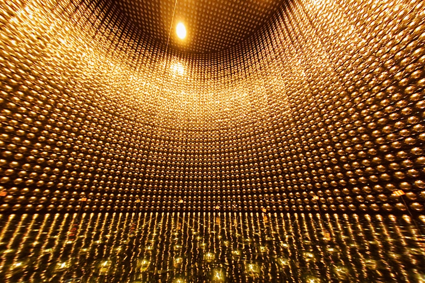 A large empty tank lined with thousands of golden oversized lightbulbs is seen from below.