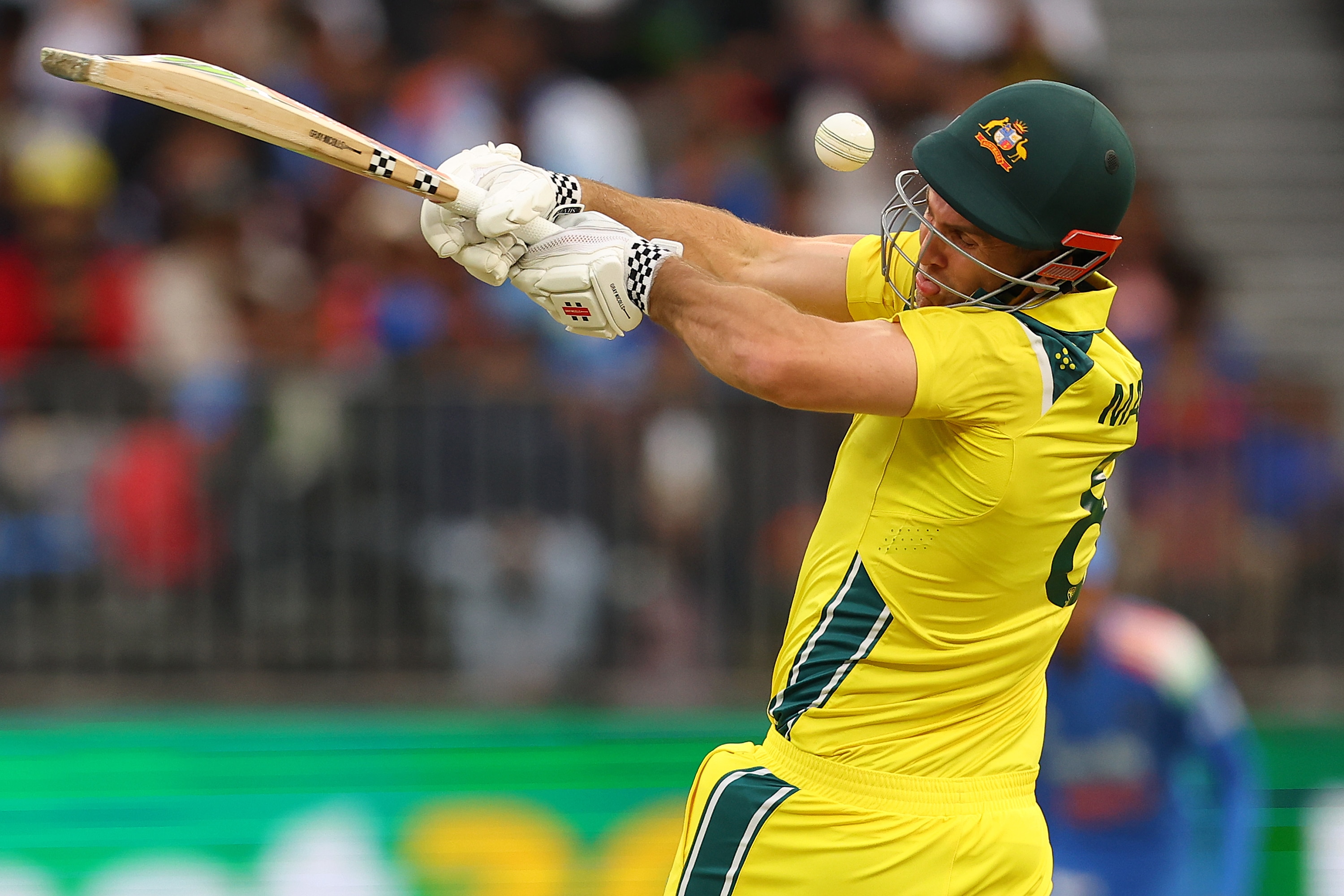 The Australian summer of cricket has begun!