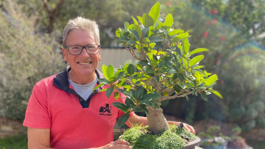 Lester Dent is pictured with one of his bonsai trees.