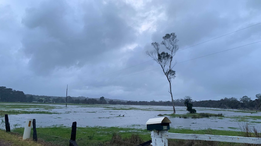 Flooded landscape with bushes submerged between two Australian flagpoles.
