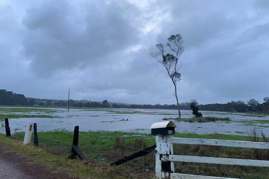A paddock in front of a fence with post box submerged in water.