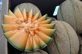 A close-up of a cut rockmelon half, sitting on whole rockmelons.