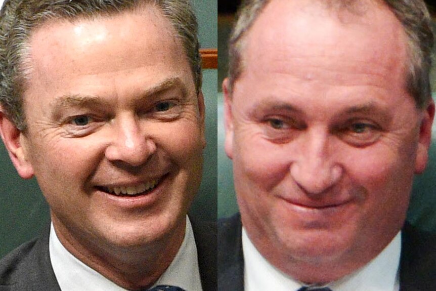 Composite image of Christopher Pyne and Barnaby Joyce.