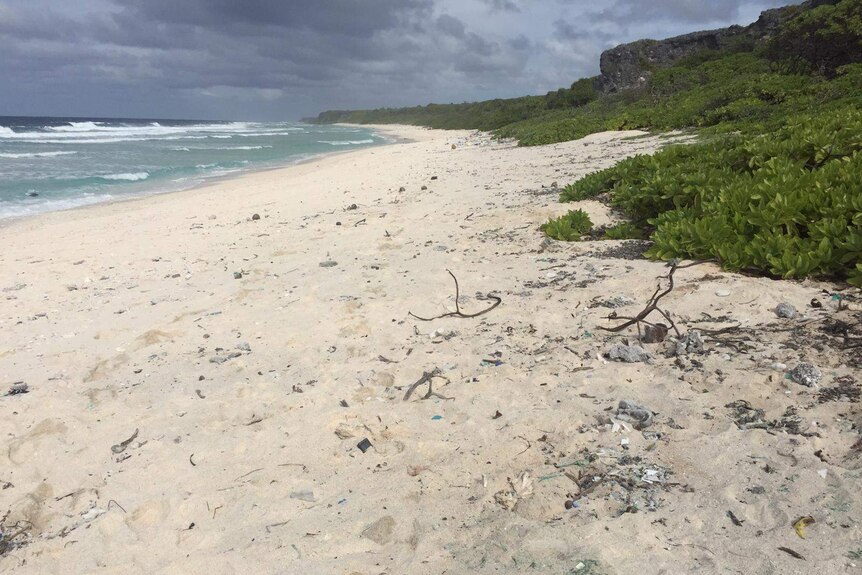 Henderson Island after the clean-up.