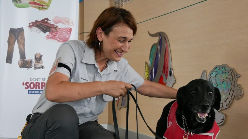 A woman wearing a powder blue shirt bearing the logo biosecurity pats a black dog wearing a red dog jacket