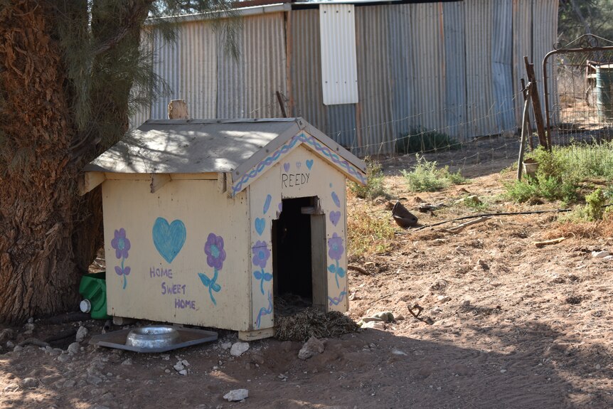 A humble dog kennel painted with flowers and love hearts sits empty in a farmyard.