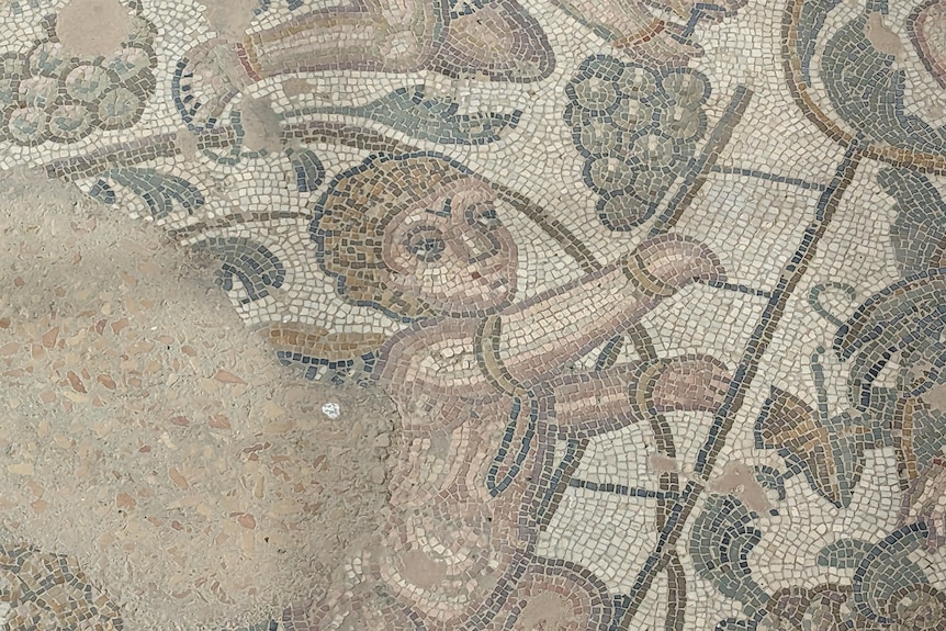 A Roman mosaic showing cherubs climbing a ladder to harvest grapes.