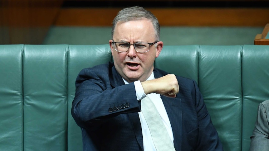 Anthony Albanese