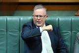 Anthony Albanese