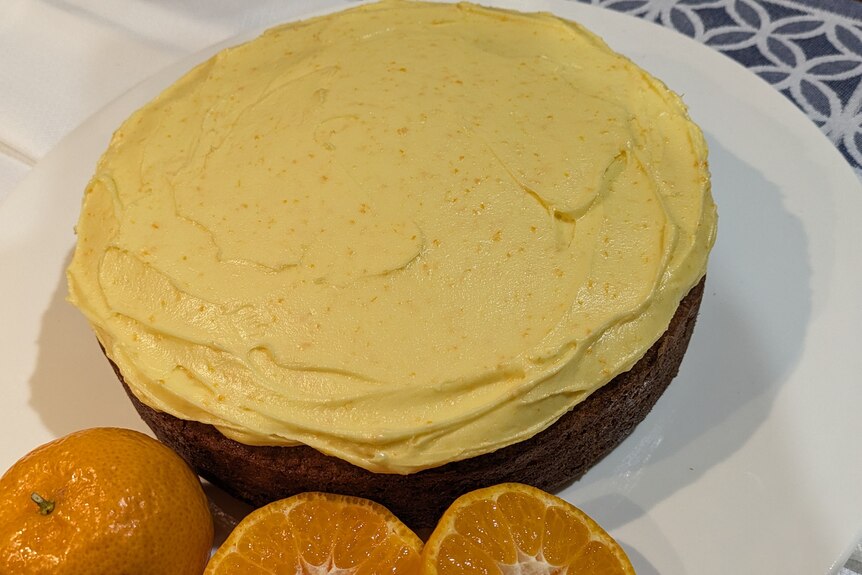 Photo of caramel-brown cake with yellow icing with mandarin zest, garnished with fresh mandarins.