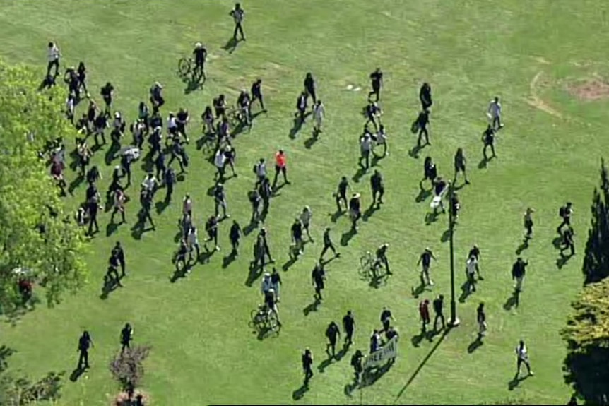 Protesters walk across a park