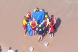 a group of lifesavers carry a dolphin in a tarpaulin after it was mauled by sharks